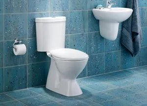 Caroma Dual-Flush Toilet in a blue tile bathroom