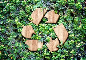 How to Minimize Hidden Liquid Pollutants In Your Home