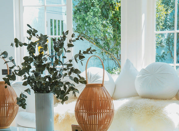 Bright Room Indoor Air Quality