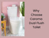 Why Choose Caroma Dual Flush Toilet for Sustainability?