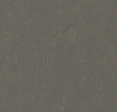 Modular sample, t3705 Meteorite