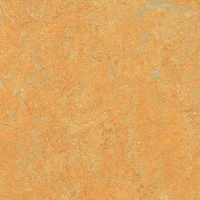 3847 golden saffron
