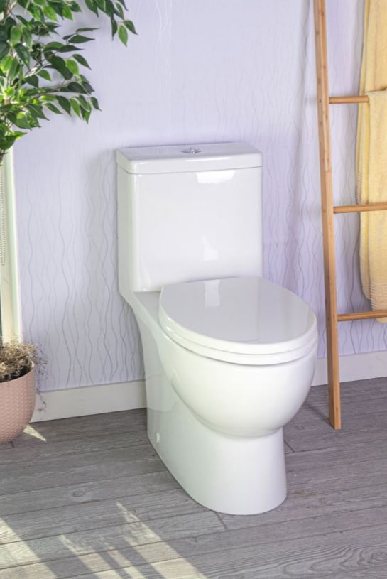 Caroma Caravelle One-Piece Button Flush Toilet Installed