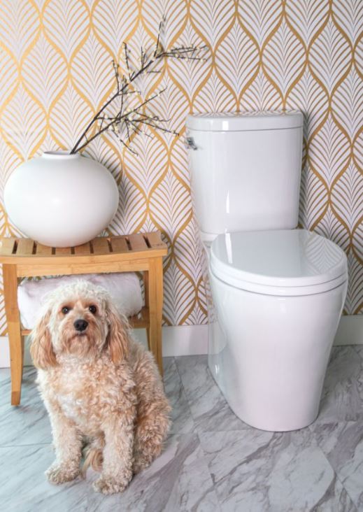 Caroma Somerton Smart 2-Piece (Lever) Dual Flush Toilet with Dog