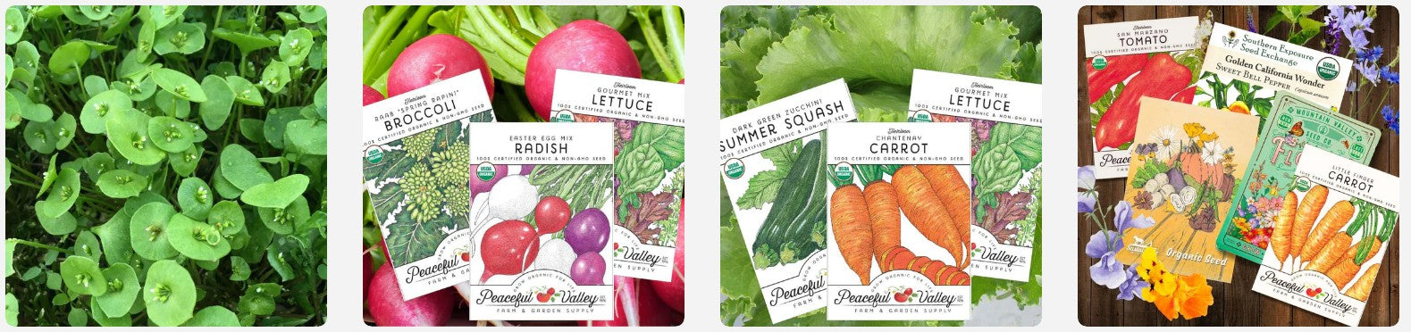 Grow Organics