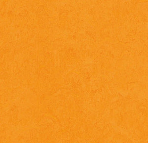 Forbo Marmoleum Click Cinch Loc Samples Page