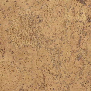 Barriga Samples
