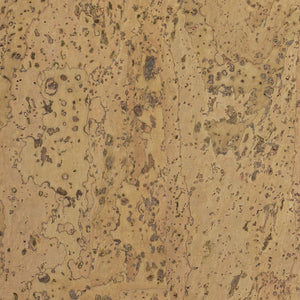 Barriga Samples
