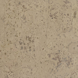 Barriga Samples