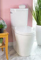 Caroma Somerton Smart (Lever) Dual Flush Toilet
