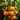 Dancy Tangerine Tree (Potted)
