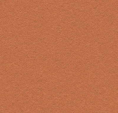 2207 Cinnamon bark