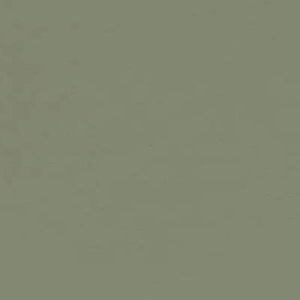 4184 olive