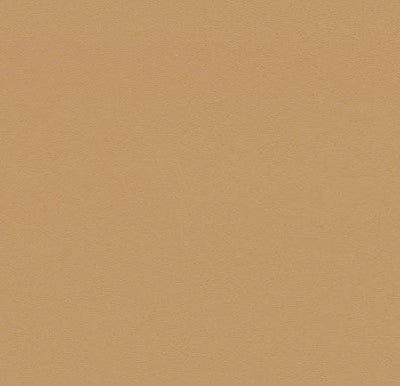 Furniture Linoleum sample, 4002 Leather
