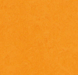 Forbo Marmoleum Click Cinch Loc Samples Page