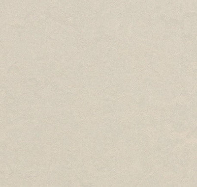 Click Cinch Loc sample, Edelweiss