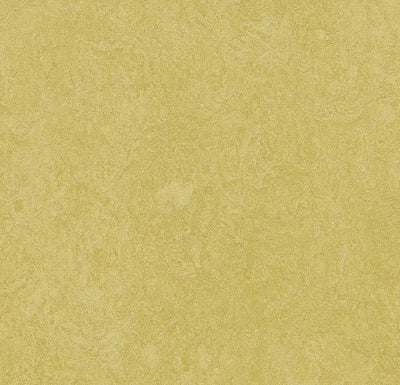 Forbo Marmoleum Marbled Fresco Sheet Sample - 3259 Mustard