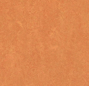 Forbo Marmoleum Marbled Fresco Sheet Sample