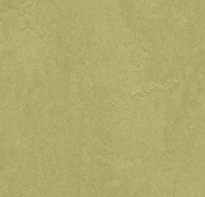 Forbo Marmoleum Marbled Fresco Sheet Sample - 3265 Avocado