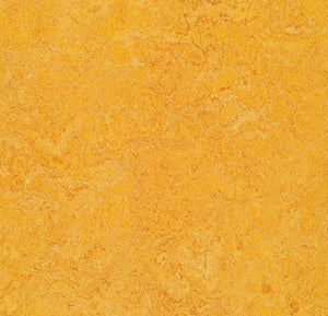 Forbo Marmoleum Marbled Real Sheet Sample