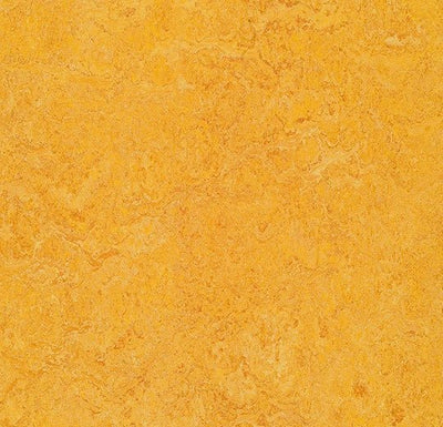 Forbo Marmoleum Marbled Real Sheet Sample - 80267 3225 Dandelion
