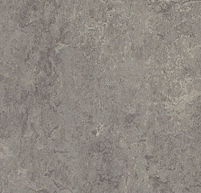 Forbo Marmoleum Marbled Real Sheet Sample - 81064 2629 Eiger