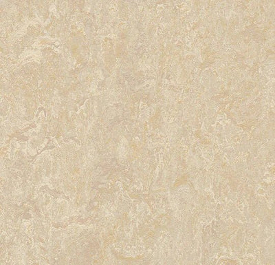 Forbo Marmoleum Marbled Real Sheet Sample - 121594 2499 Sand