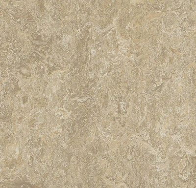 Forbo Marmoleum Marbled Real Sheet Sample - 80120 3234 Forest Ground