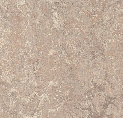 Forbo Marmoleum Marbled Real Sheet Sample - 80118 3232 Horse Roan