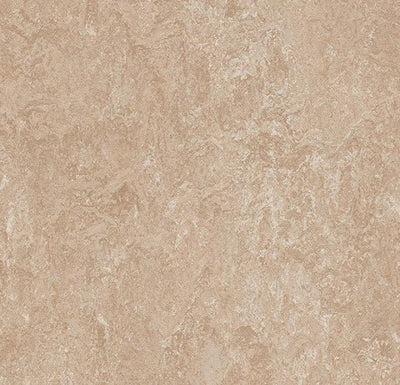 Forbo Marmoleum Marbled Real Sheet Sample - 10679 3141 Himalaya