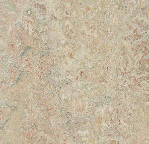 Forbo Marmoleum Marbled Vivace Sheet Sample