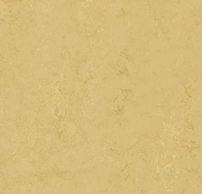 t3774 corn silk
