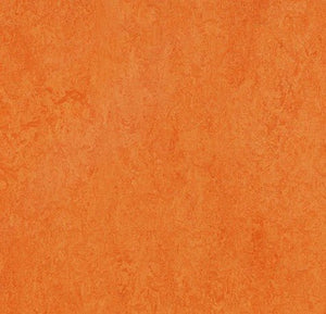 Forbo Marmoleum MCT 13"x 13"Tile Samples