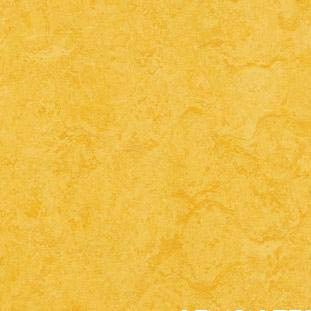 forbo marmoleum real