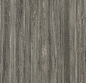 t5251 Black Glacier