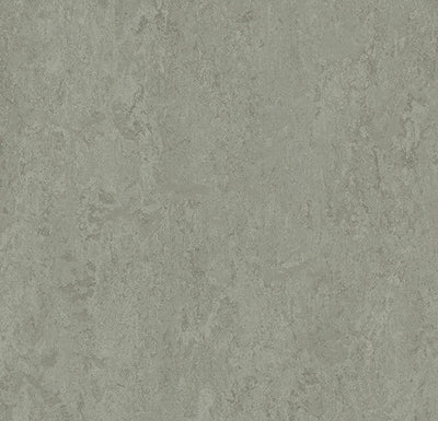 Modular sample, t3889 Cinder