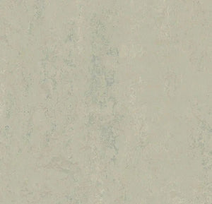 t3860 silver shadow