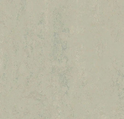 Modular sample, t3860 Silver Shadow