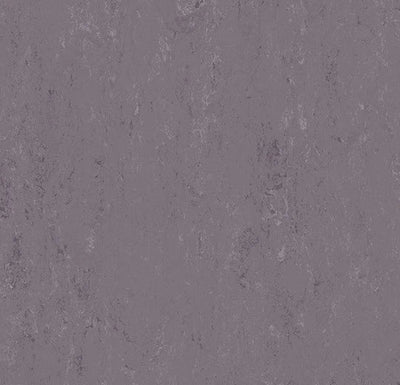 Modular sample, t3773 Allium