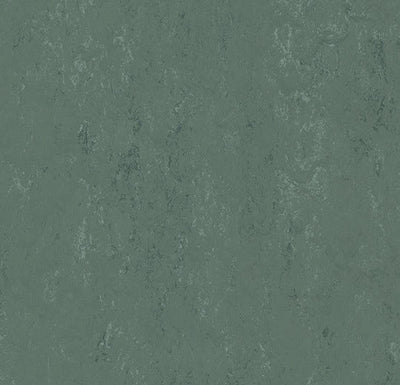 Modular sample, t3752 Taiga