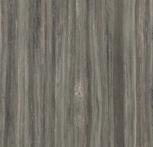 t5251 Black Glacier