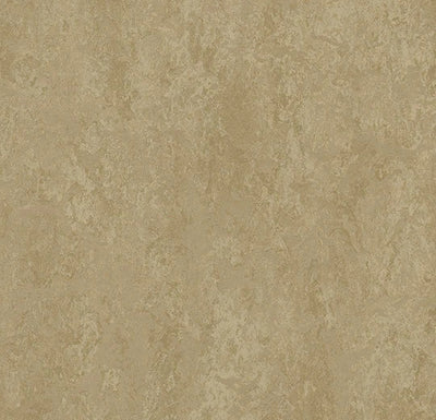 Modular sample, t3890 Oat