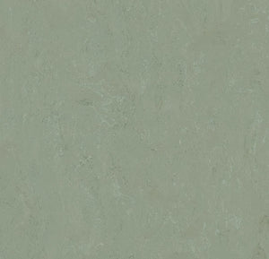 t3750 pine forest