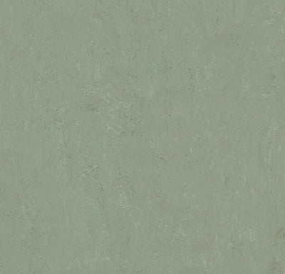 Modular sample, t3750 Pine Forest