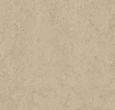 Modular sample, t3289 Sandstone