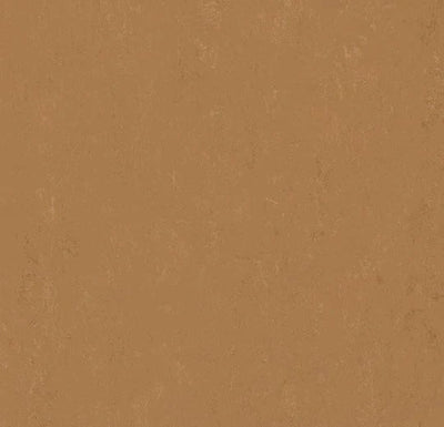 Modular sample, t3772 Tiger's Eye