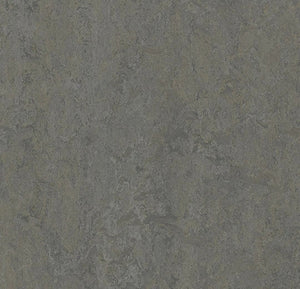 t3705 meteorite