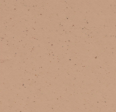 Forbo Marmoleum Solid Cocoa Sheet Samples - 246247