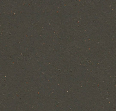 Forbo Marmoleum Solid Cocoa Sheet Samples - 246246