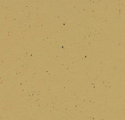 Forbo Marmoleum Solid Cocoa Sheet Samples - 246242